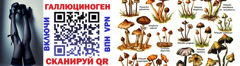 Псилоцибиновые грибы ЛСД  OMG маркетплейс  Багратионовск  наркошоп 