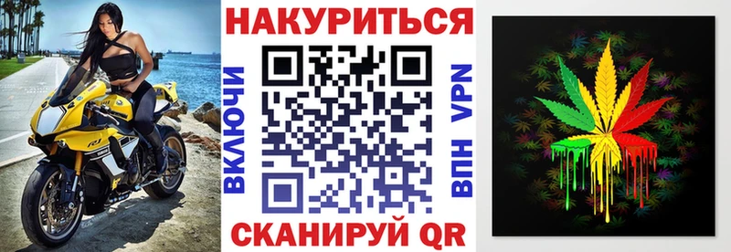 наркотики  Багратионовск  Марихуана конопля 